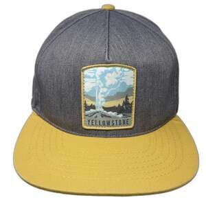 The Landmark Project 5 Panel Gray One Size Yellowstone Geyser Patch Snapback Hat